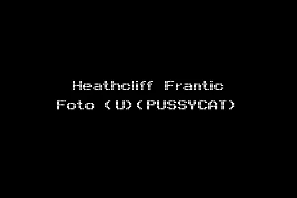 Heathcliff Frantic Foto (U)(PUSSYCAT)