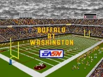 Pro Football '93 (Japan)