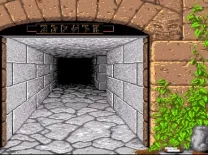 Dungeon Master (Japan)