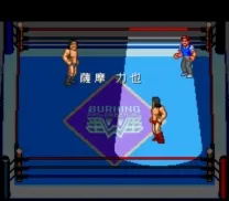 Gekitou Burning Pro Wrestling (Japan)