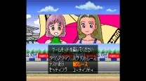 Super Family Circuit (Japan)