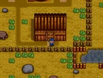 Harvest Moon (Europe)