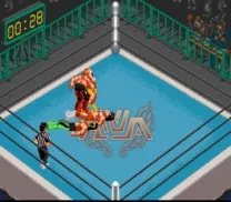 Super Fire Pro Wrestling Special (Japan)