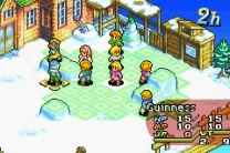 Final Fantasy Tactics Advance (E)(Surplus)