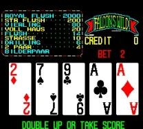 Falcons Wild - Wild Card 1991 (TVG)