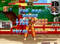 Art of Fighting / Ryuuko no Ken (NGM-044 ~ NGH-044)