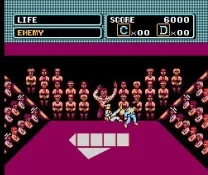 Karate Kid, The (USA)