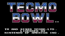 Tecmo Bowl (USA)