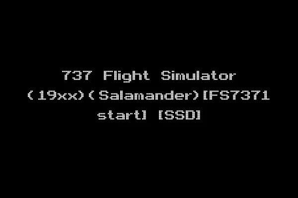 737 Flight Simulator (19xx)(Salamander)[FS7371 start] [SSD]