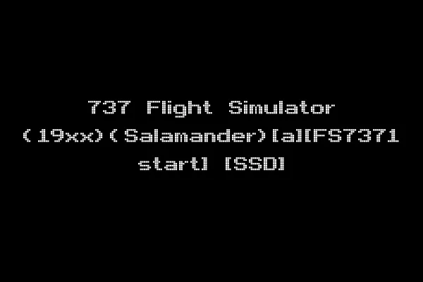 737 Flight Simulator (19xx)(Salamander)[a][FS7371 start] [SSD]