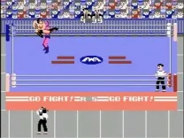 ProWres - Famicom Wrestling Association (Japan) [b]