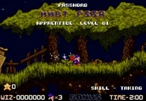 Wiz'n'Liz (USA)