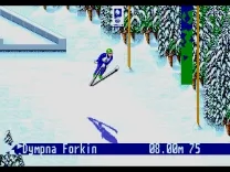 Winter Olympic Games (USA)
