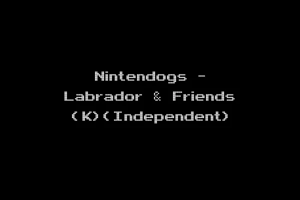 Nintendogs - Labrador & Friends (K)(Independent)