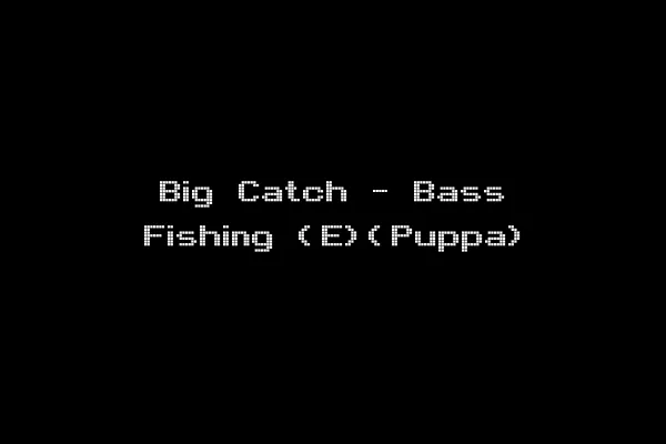 Big Catch - Bass Fishing (E)(Puppa)