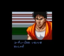 Final Fight Guy (Japan)