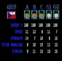 TV Sports Hockey (USA)