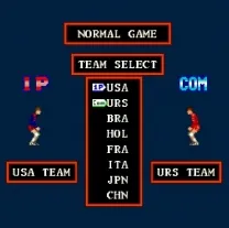Super Volleyball (Japan)