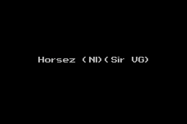 Horsez (Nl)(Sir VG)