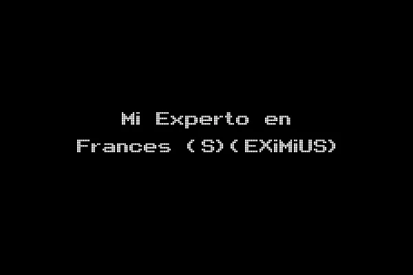 Mi Experto en Frances (S)(EXiMiUS)