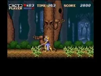 ActRaiser (Japan)