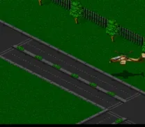 Jungle Strike (Europe)