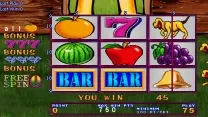 Fruit Bonus '06 - 10th anniversary (Version 1.7E CGA)