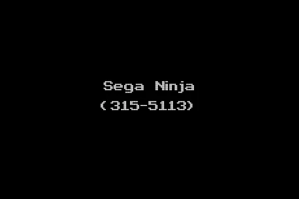 Sega Ninja (315-5113)