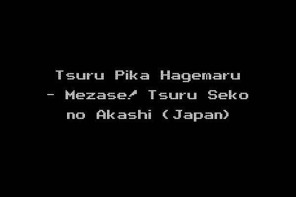Tsuru Pika Hagemaru - Mezase! Tsuru Seko no Akashi (Japan)