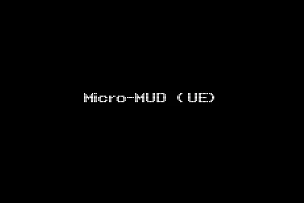 Micro-MUD (UE)