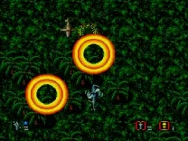 Cross Fire (USA)