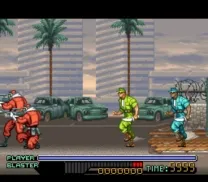 Ninjawarriors, The (USA)