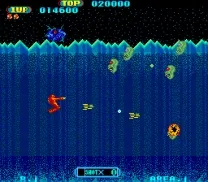 4-D Warriors (315-5162)