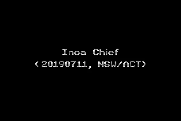 Inca Chief (20190711, NSW/ACT)