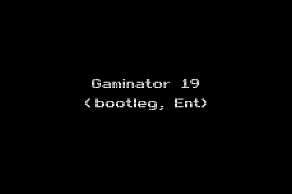 Gaminator 19 (bootleg, Ent)