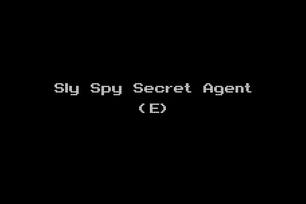 Sly Spy Secret Agent (E)