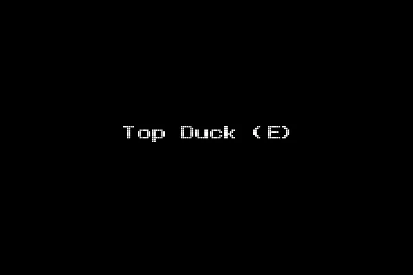Top Duck (E)