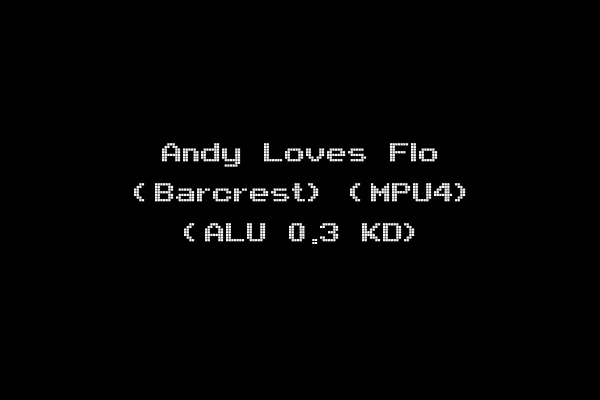 Andy Loves Flo (Barcrest) (MPU4) (ALU 0.3 KD)