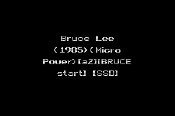 Bruce Lee (1985)(Micro Power)[a2][BRUCE start] [SSD]