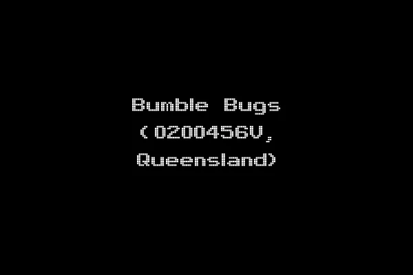 Bumble Bugs (0200456V, Queensland)