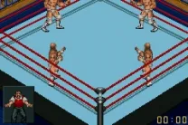 Fire Pro Wrestling 2 (U)(Venom)