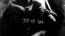 The Joy of Sex