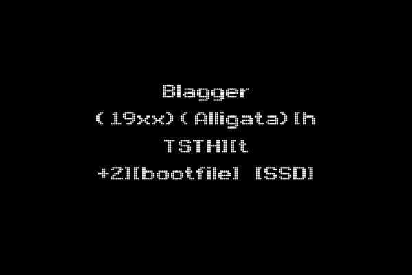 Blagger (19xx)(Alligata)[h TSTH][t +2][bootfile] [SSD]