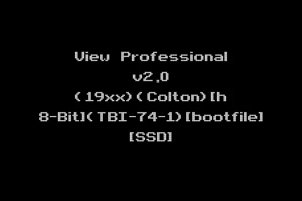 View Professional v2.0 (19xx)(Colton)[h 8-Bit](TBI-74-1)[bootfile] [SSD]