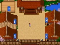 Budokan - The Martial Spirit (USA)