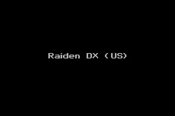 Raiden DX (US)