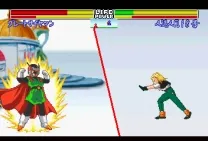 Dragon Ball Z Shinbuthoden (J) ISO