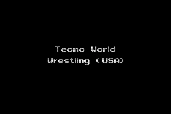 Tecmo World Wrestling (USA)