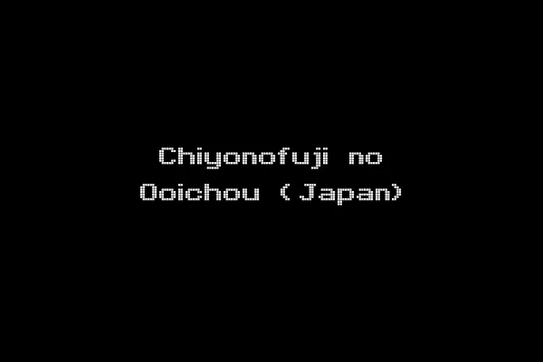 Chiyonofuji no Ooichou (Japan)