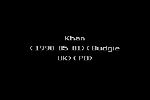 Khan (1990-05-01)(Budgie UK)(PD)